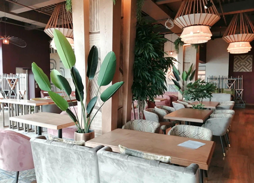 Проект для клиента Высота, ресторан, п. Елизово от CorsaStyle